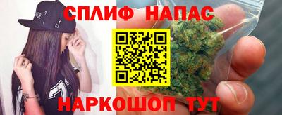 прущие грибы Северобайкальск