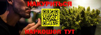 прущие грибы Северобайкальск