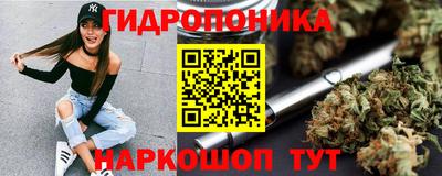 apvp Севастополь