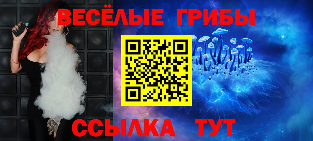 Псилоцибиновые грибы Magic Shrooms  Вход с VPN  продажа наркотиков  Санкт-Петербург  Галлюциногенные грибы MAGIC MUSHROOMS 